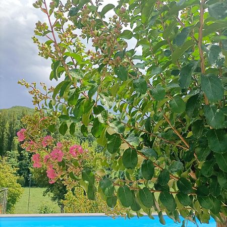 B&B Villa Ginevra Pietralunga  Dış mekan fotoğraf