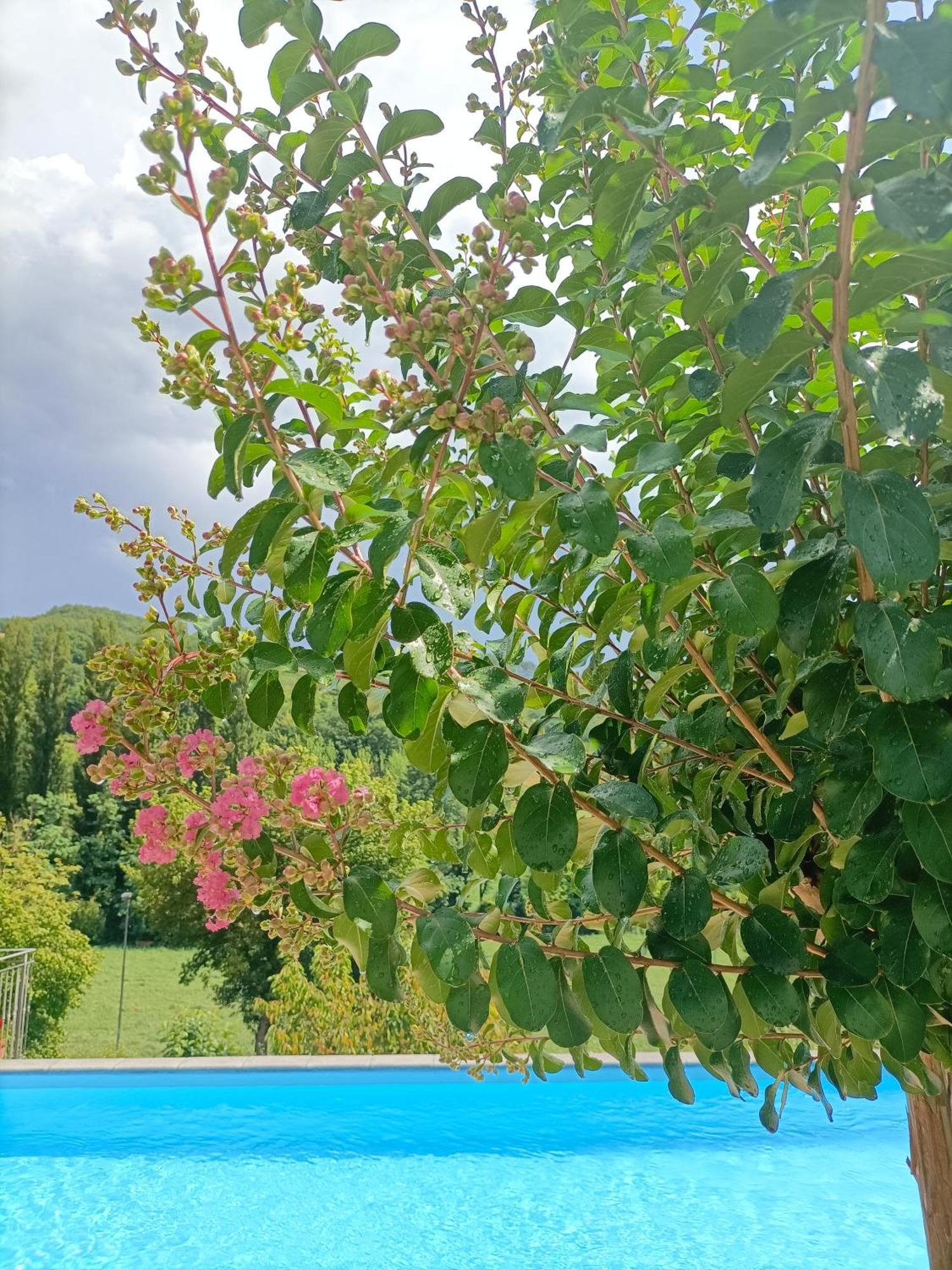 B&B Villa Ginevra Pietralunga  Dış mekan fotoğraf